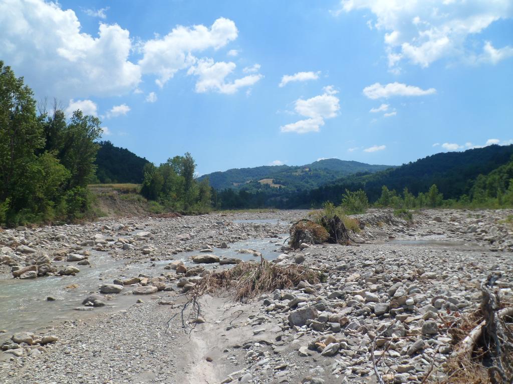 Nicoletta Spirito Del Tibet