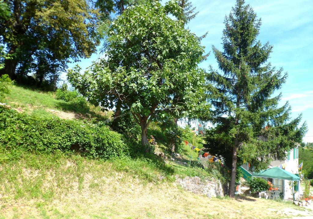 Nicoletta Spirito Del Tibet * San Leo